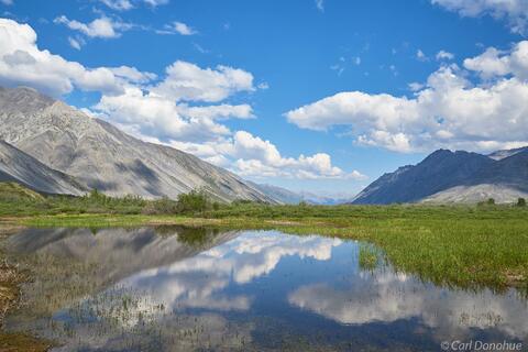 Landscape scene in the Brooks Range, near the Continental Divide in Alaska's Arctic National Wildlife Refuge. 