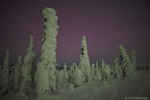 Alaska night skies photo.