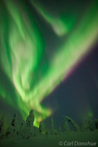 Alaska northern lights photo.