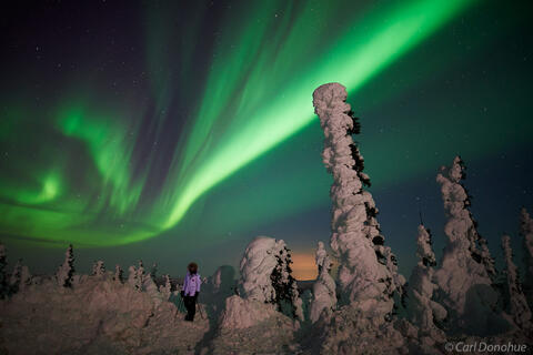 Photographer, moonlit trees and northern lights photo