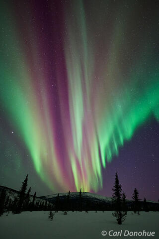 Magenta and green Aurora borealis photo, Alaska