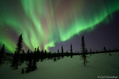 Aurora borealis in White Mountains, Alaska