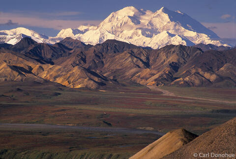 Denali Over Murie's Plains