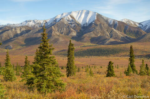 Fresh snow, Alaska Range, Fall, Denali National Park, Alaska