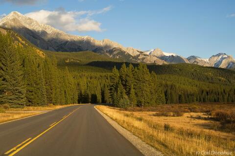 Moose Meadows photo Banff National Park