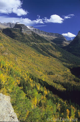 Going to the Sun Road, in Glacier National Park, and stunning rich fall colors ofautumn in the Rocky Mountains, Montana.