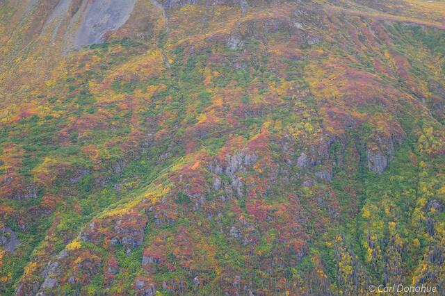 Fall color photo Wrangell-St. Elias National Park