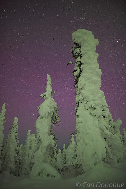 Alaska night skies.