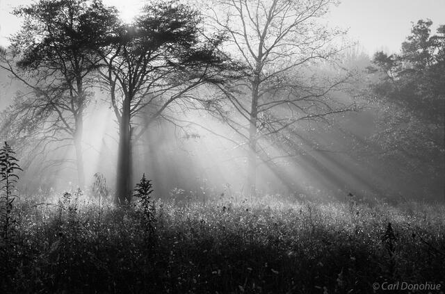 A black and white rendering of dawn mist in Cades Cove, in winter, Great Smoky Mountains National Park, Tennessee.