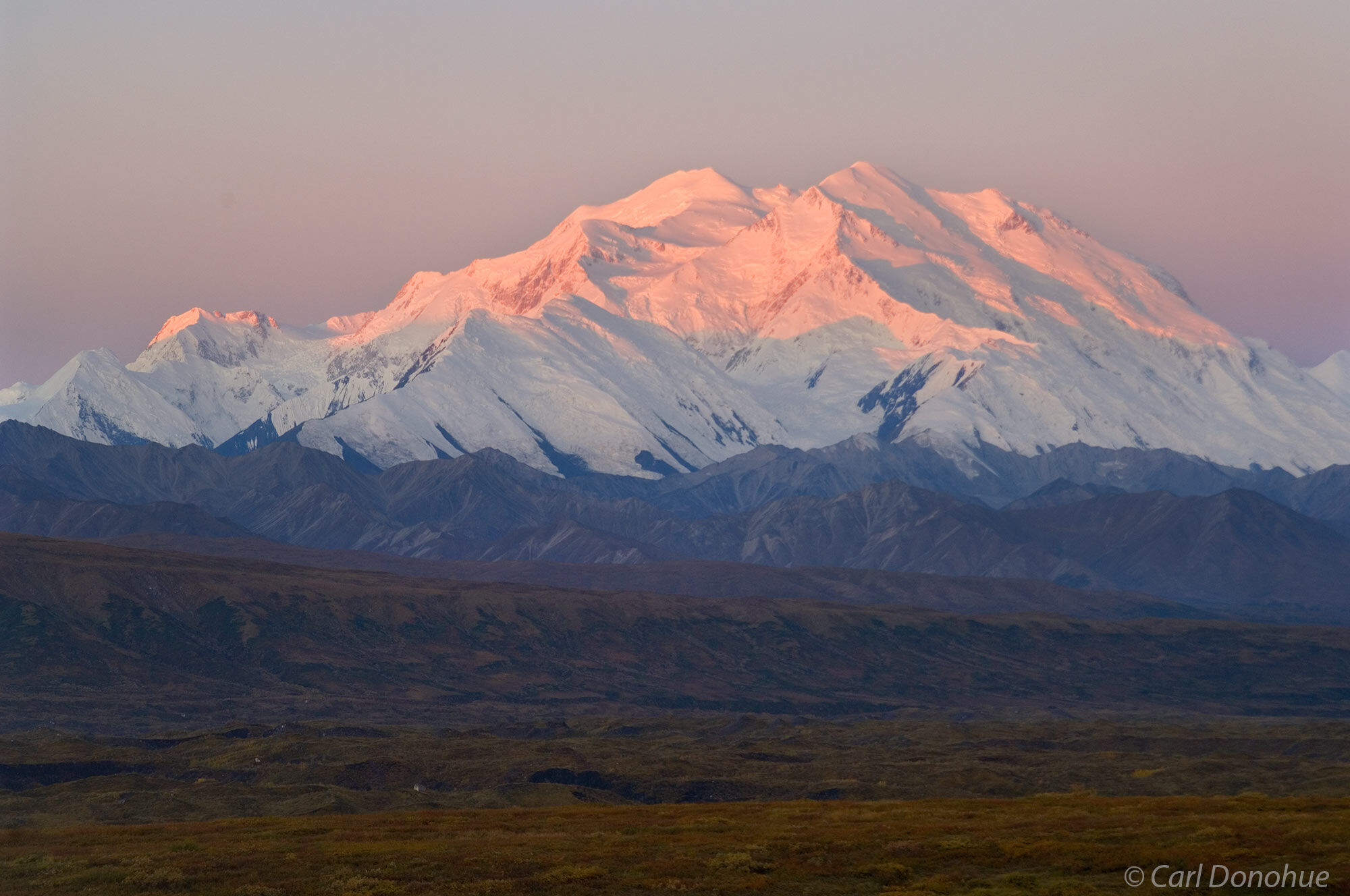 First lawn of dawn alpenglow catches the 20 000' peak of Mount Denali in Denali National Park and Preserve, Alaska.