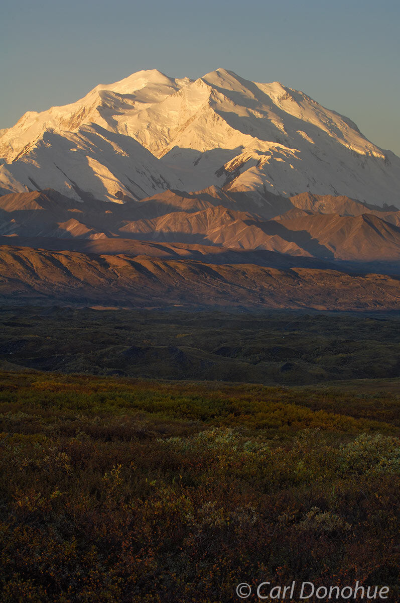 Fall brings autumn color to the tundra, as Mt. Denali stands 20 320 feet high, well over the surrounding Alaska Range, Denali...