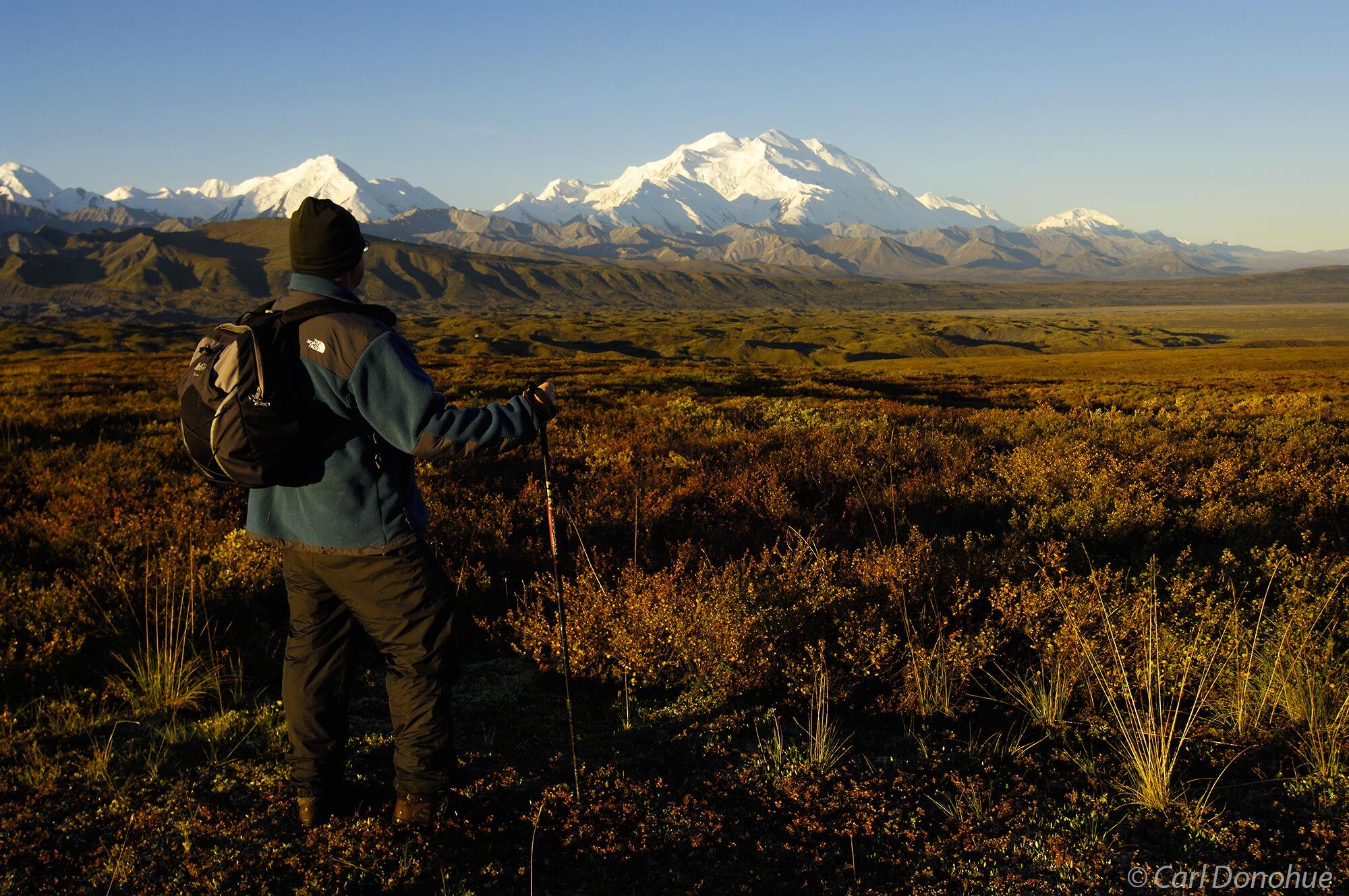 A hiker takes in the view of Mt. McKinley, known locally as "Denali" , which is a native Athabascan word translating as "The...