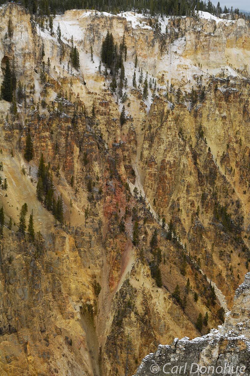 the Canyon below the Lower Falls in Wyoming's Yellowstone National Park, Wyoming.