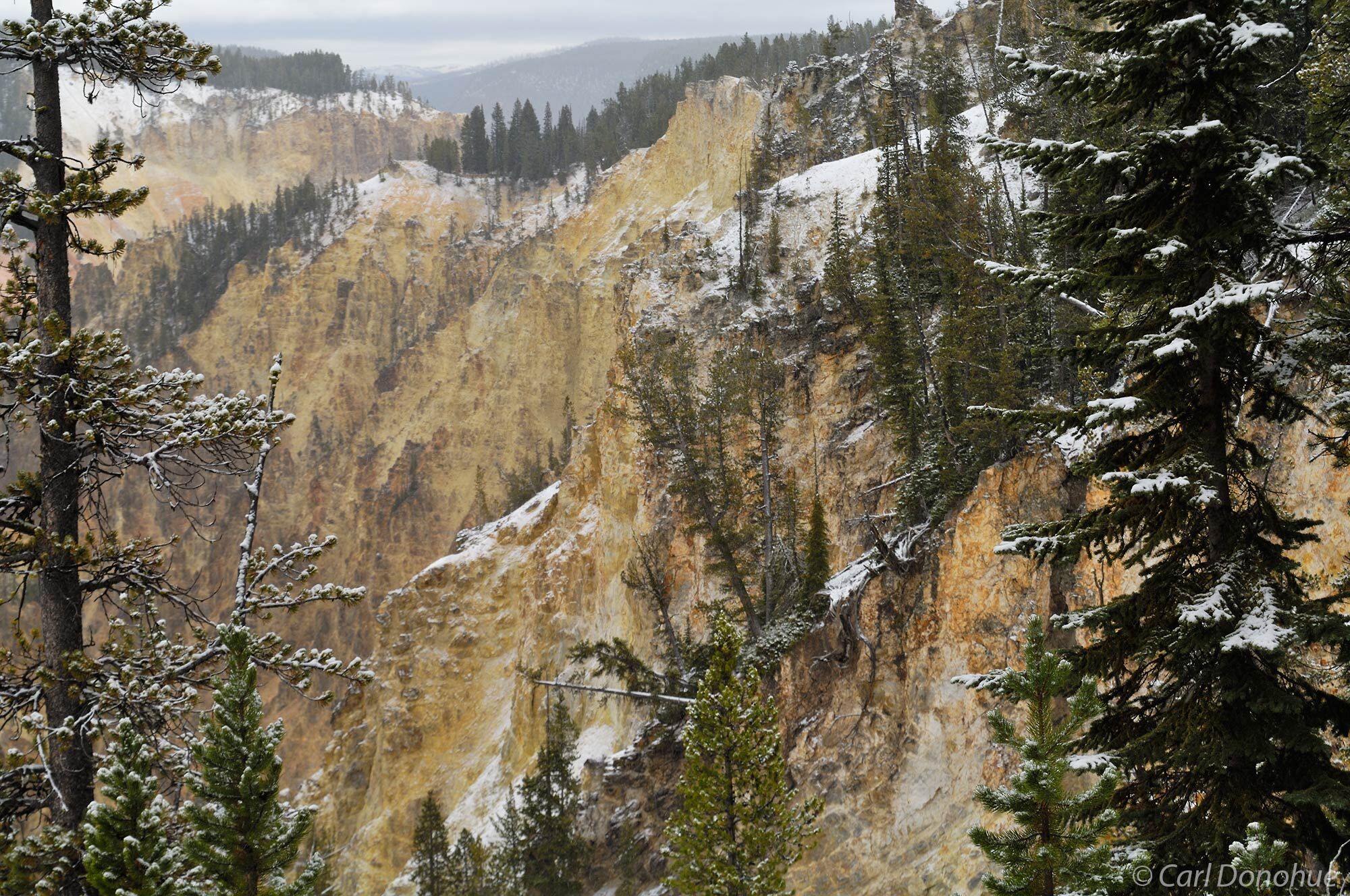 View of the Canyon below the Lower Falls in Wyoming's Yellowstone National Park, Wyoming.