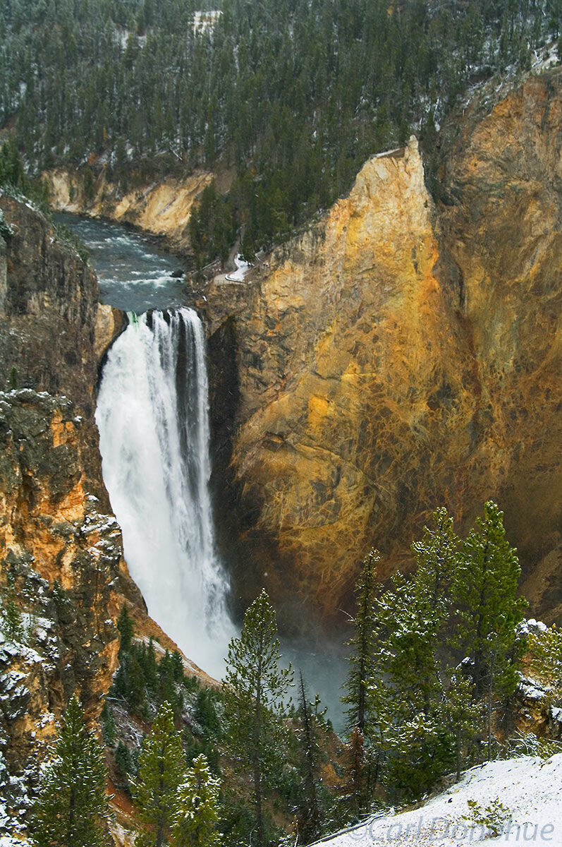 Lower Falls, Yellowstone Canyon, Yellowstone National Park, Wyoming.