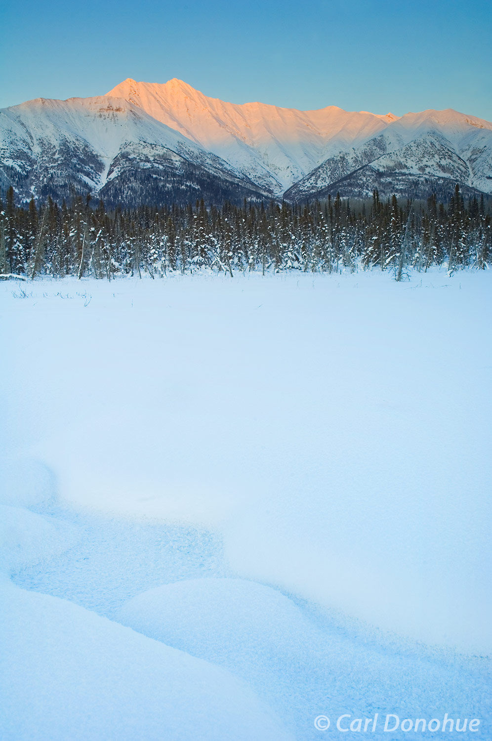 Fireweed Mountain, winter, sunset, alpenglow, snow-covered pond, boreal forest, Wrangell-St. Elias National Park, Alaska.