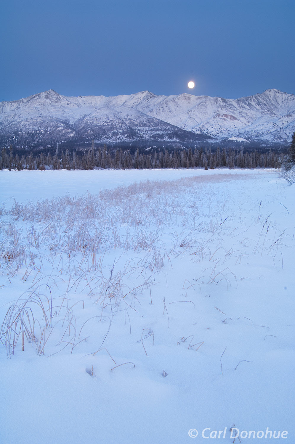 Moonrising over the Mentasta Mountains, Wrangell-St. Elias National Park and Preserve, Alaska. Winter photo.