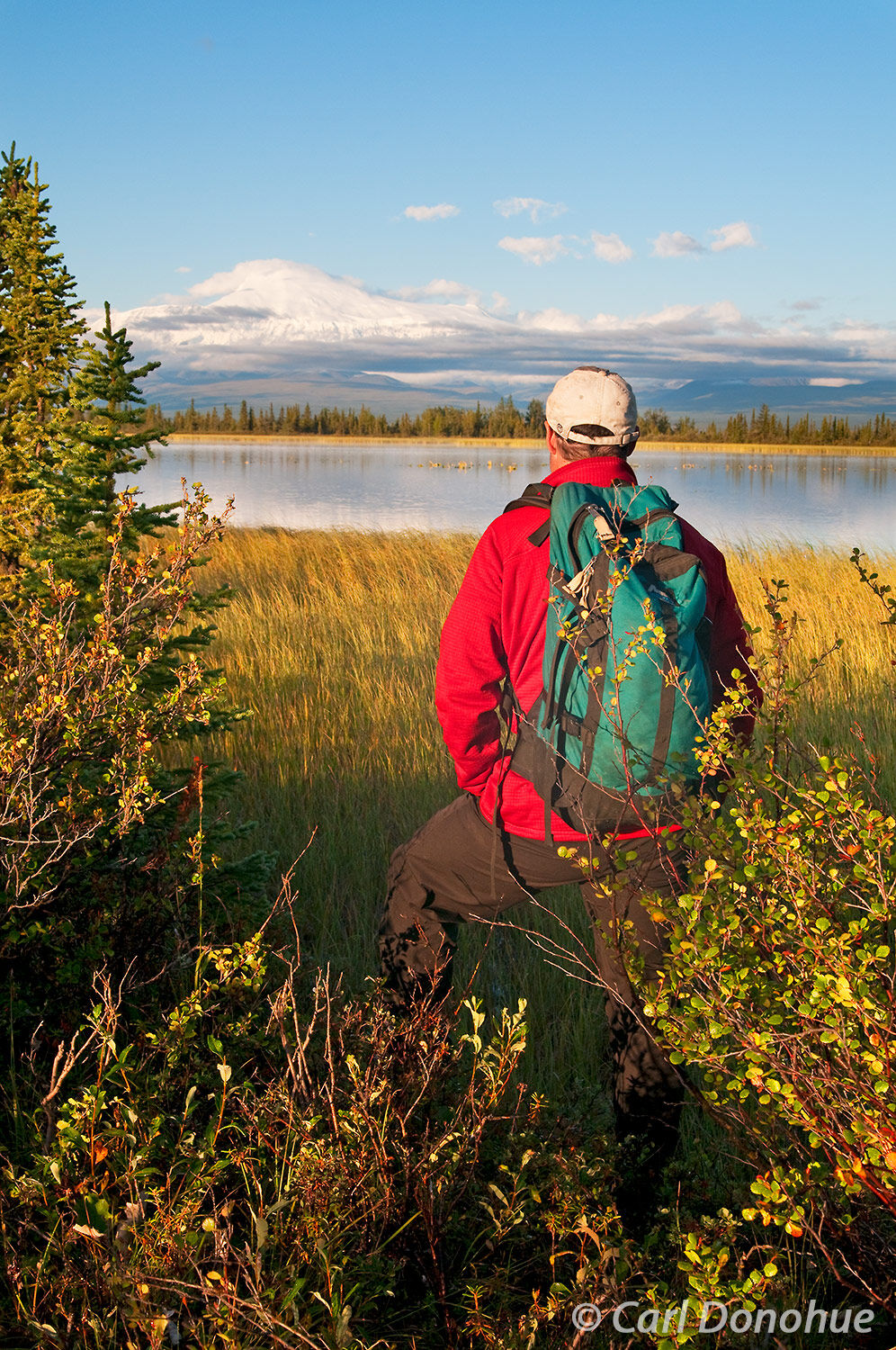 A hiker takes in the morning view of Mount Sanford. Looking across a kettle pond and boreal forest, a hiker pauses to view Mt...