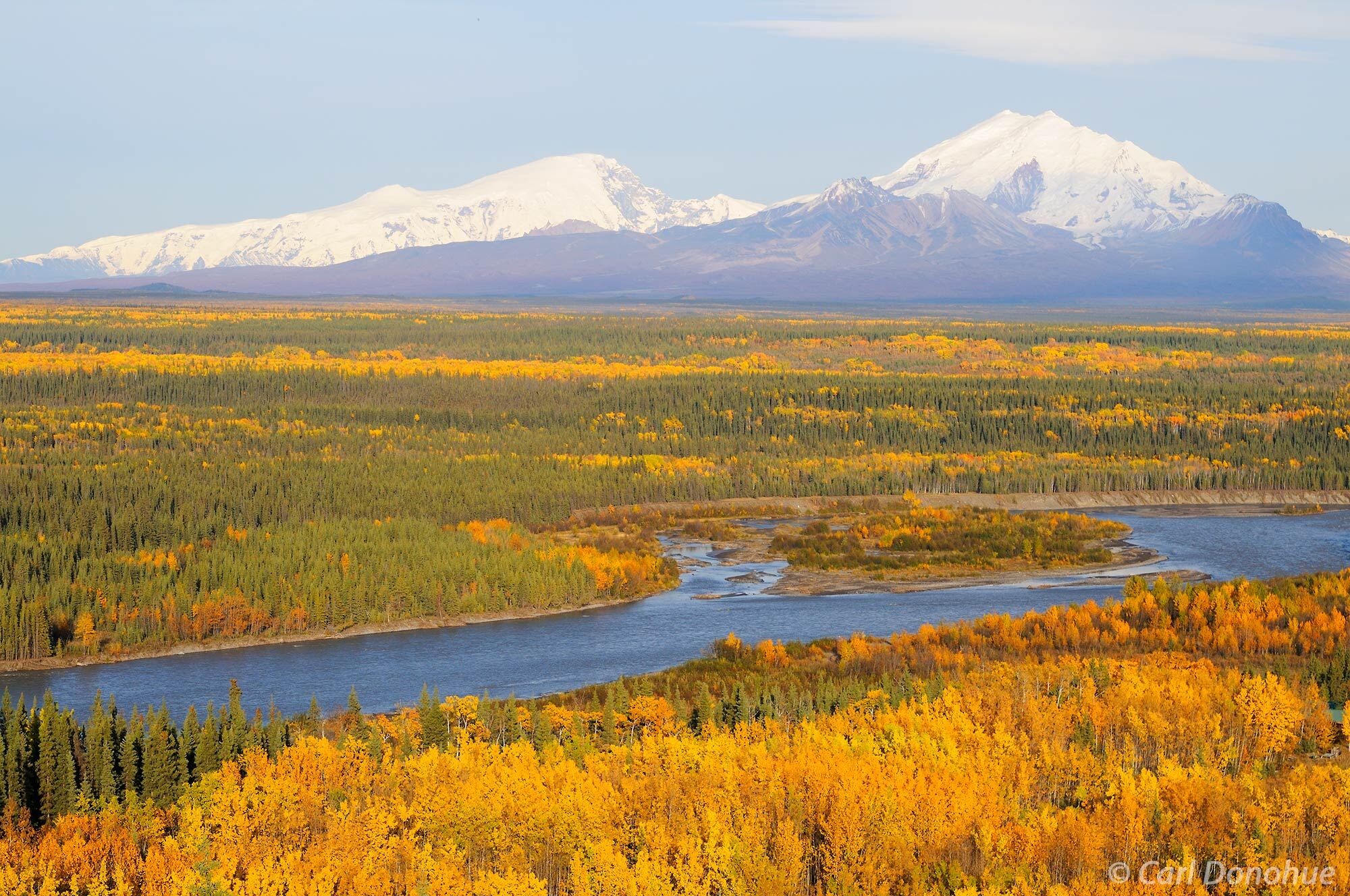 The Copper River and wonderful fall colors in the forest, from Simpson Hill Overlook, near Glennallen, Alaska. The classic View...