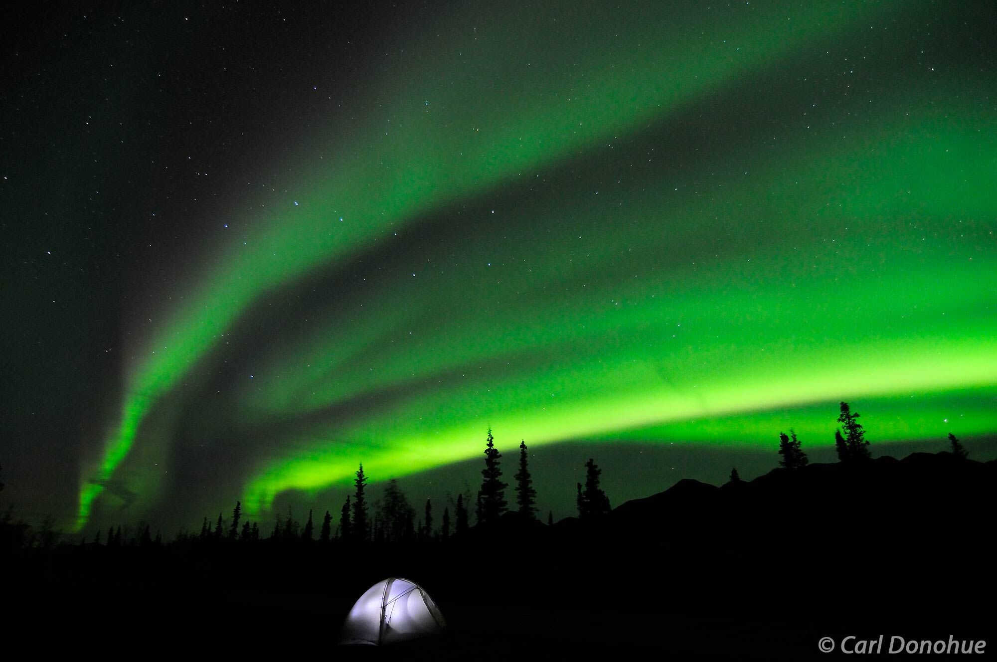 Campsite in the Mentasta Mountains. The aurora borealis (northern lights) light up the night sky above my tent.  Wrangell-St....