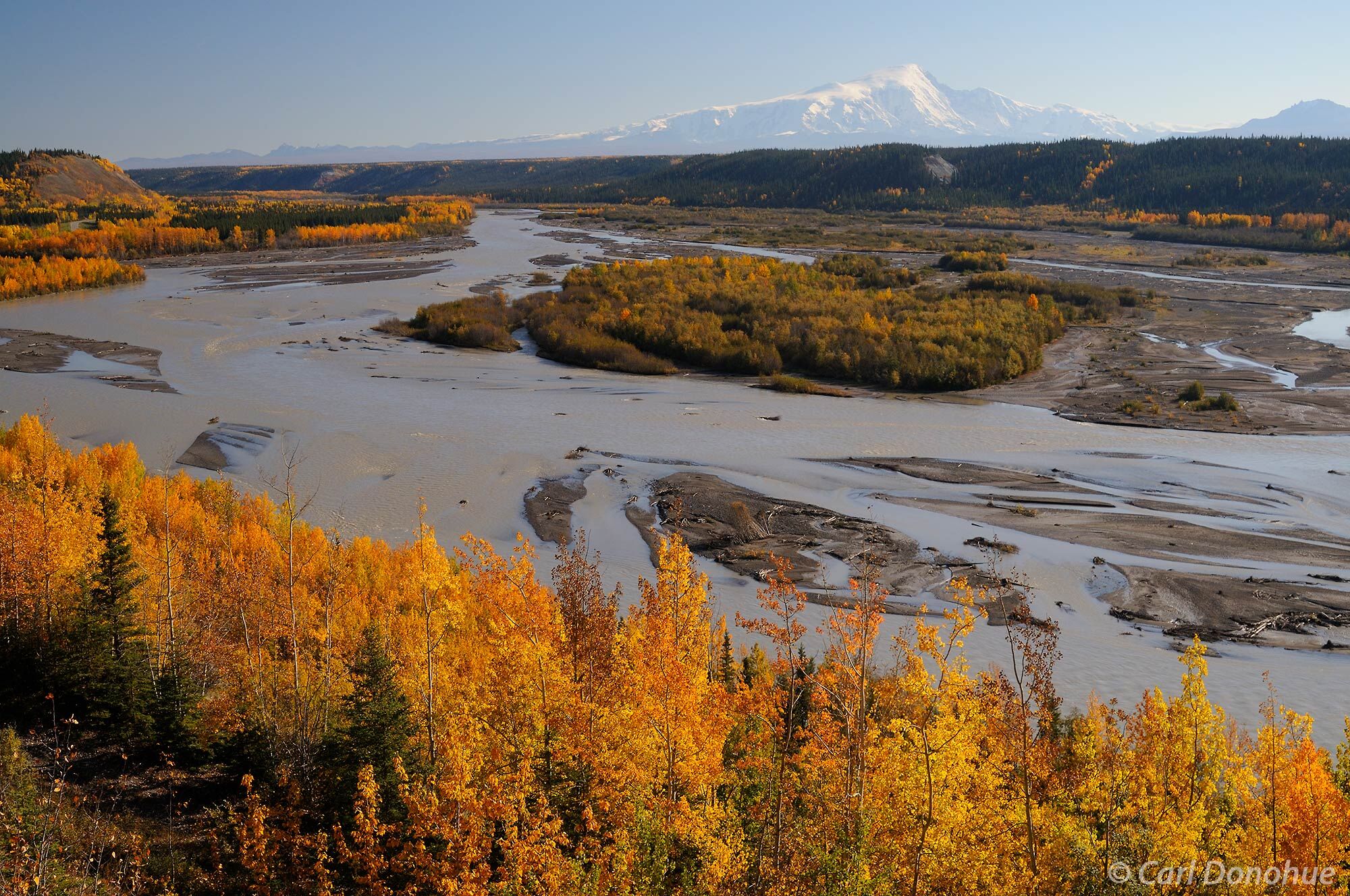 Mount Sanford, of the Wrangell Mountains, rises high above the Copper River Basin and the Tok Cutoff.  Fall colors glow in the...