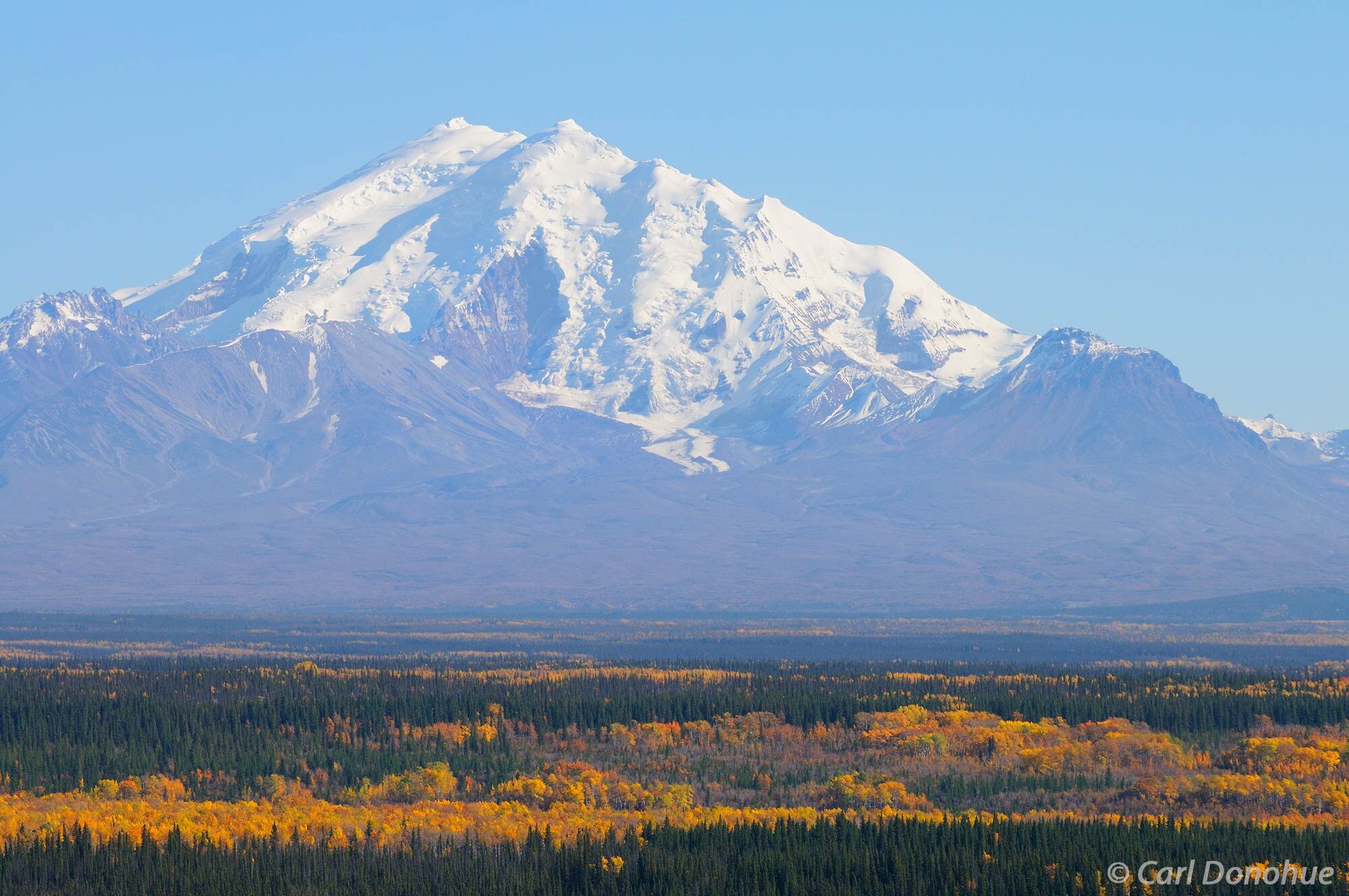 Mount Drum, of the Wrangell Mountains, rises high above the Copper River Basin. Fall colors glow in the boreal forest below....