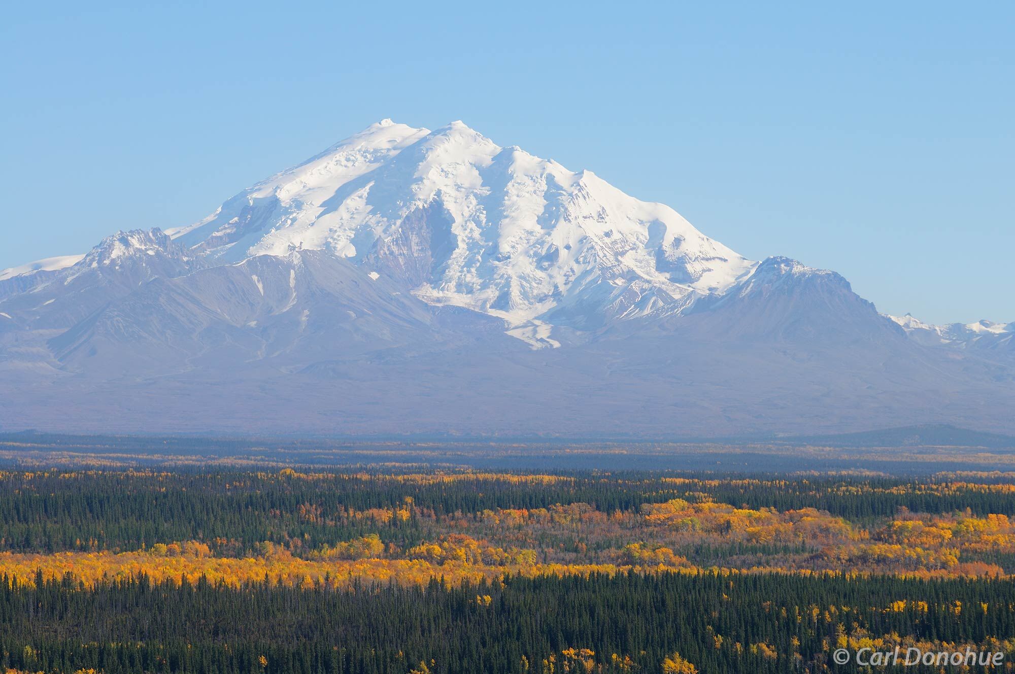Mount Drum, of the Wrangell Mountains, rises high above the Copper River Basin. Fall colors glow in the boreal forest below....