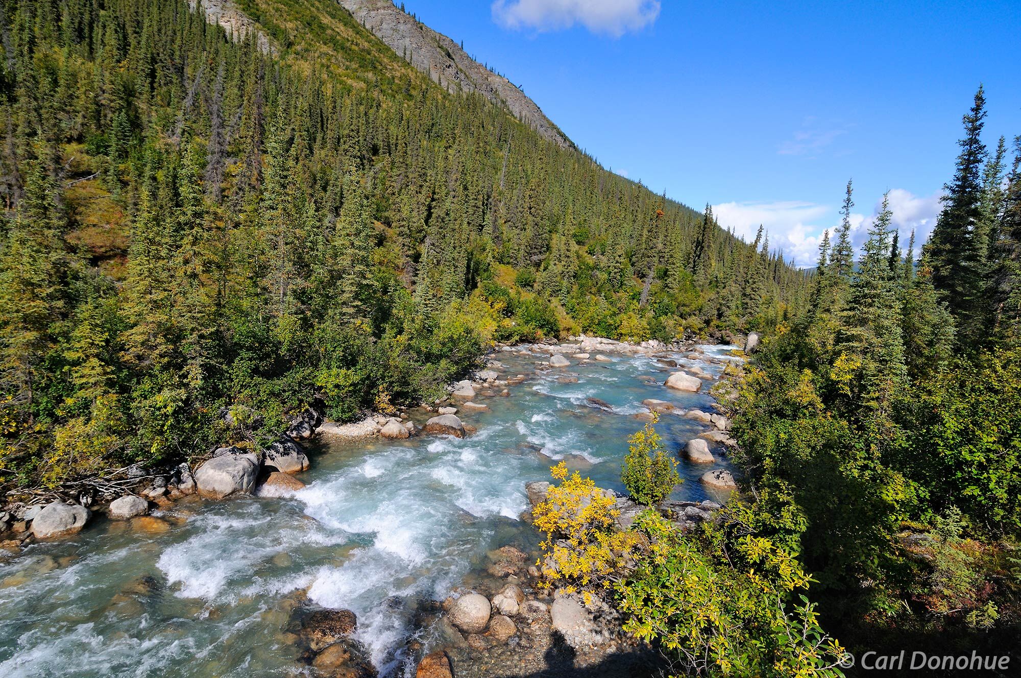 Arrigetch Creek and the boreal forest of the Brooks Mountain Range in Gates of the Arctic National Park and Preserve, Arrigetch...