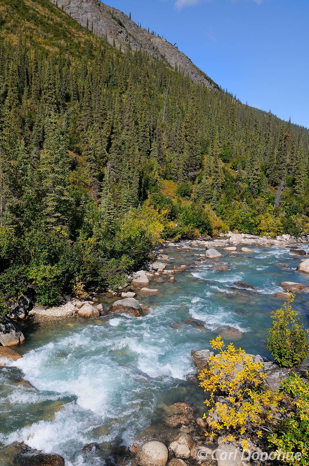 The first splash of fall colors alongside Arrigetch Creek and the boreal forest of the Brooks Mountain Range in Gates of the...
