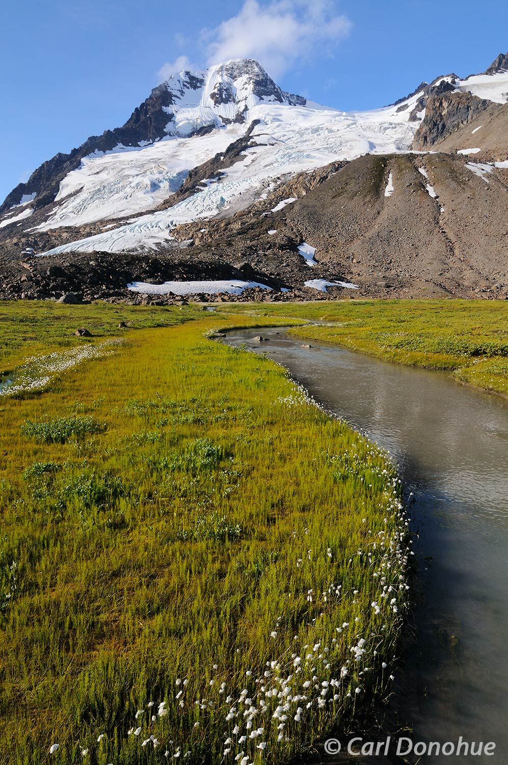 Glaciers, Cottongrass (Eriophorum chamissonis) and streams in the Chugach Mountains, near Iceberg Lake in Wrangell-St. Elias...