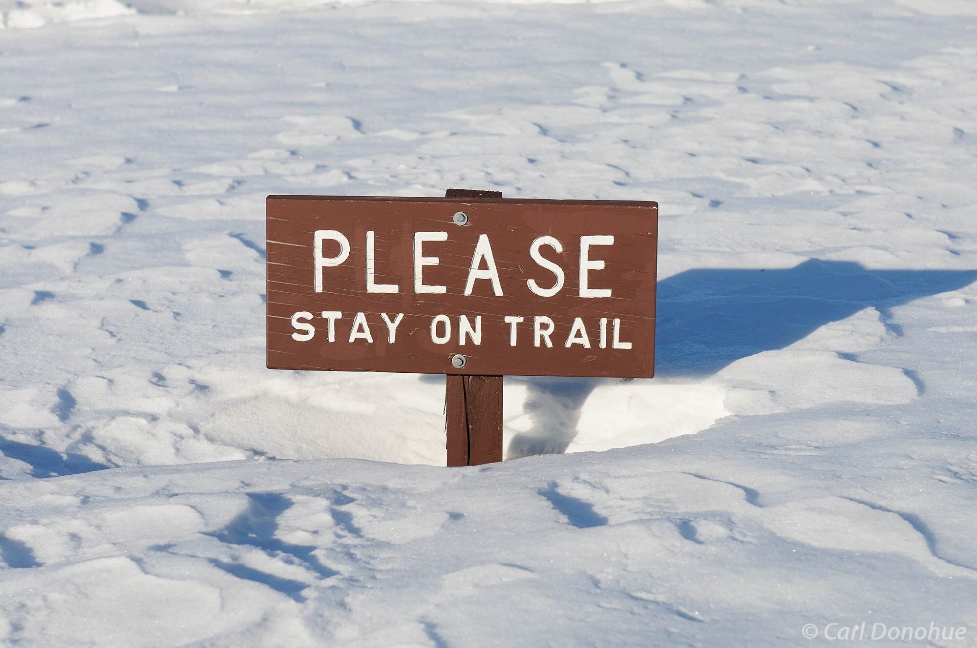 A sign in Alaska's Denali State Park requests visitors to stay only on trails - hardly necessary with 4' of snow on the ground...