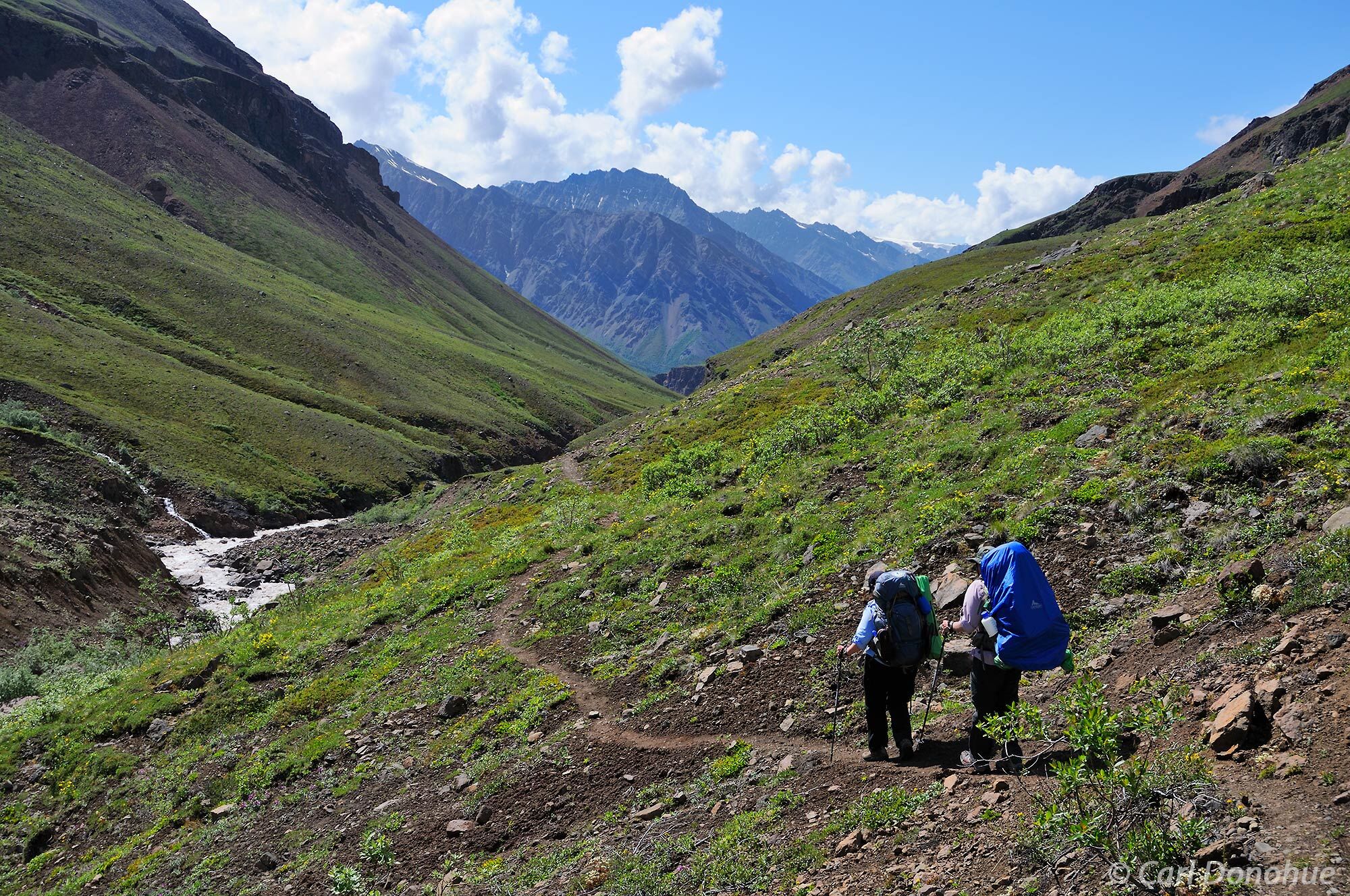 Backpacking down the Goat Trail, Chitistone Canyon, Wrangell - St. Elias National Park and Preserve, Alaska.