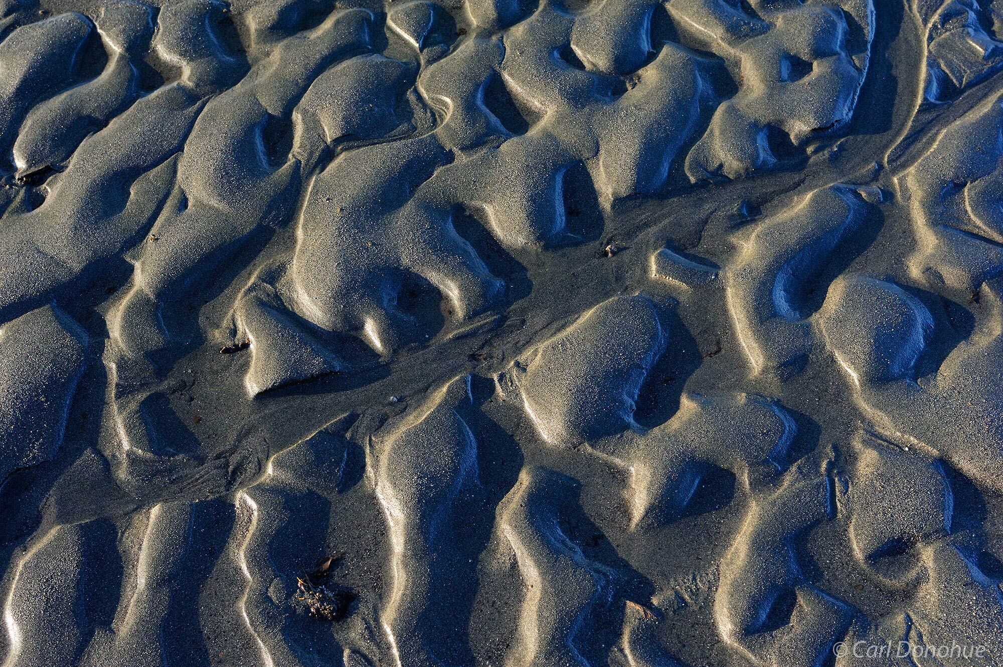 Abstract mud patterns in early morning sidelight, near Icy Bay, Wrangell-St. Elias  National Park and Preserve, Alaska.