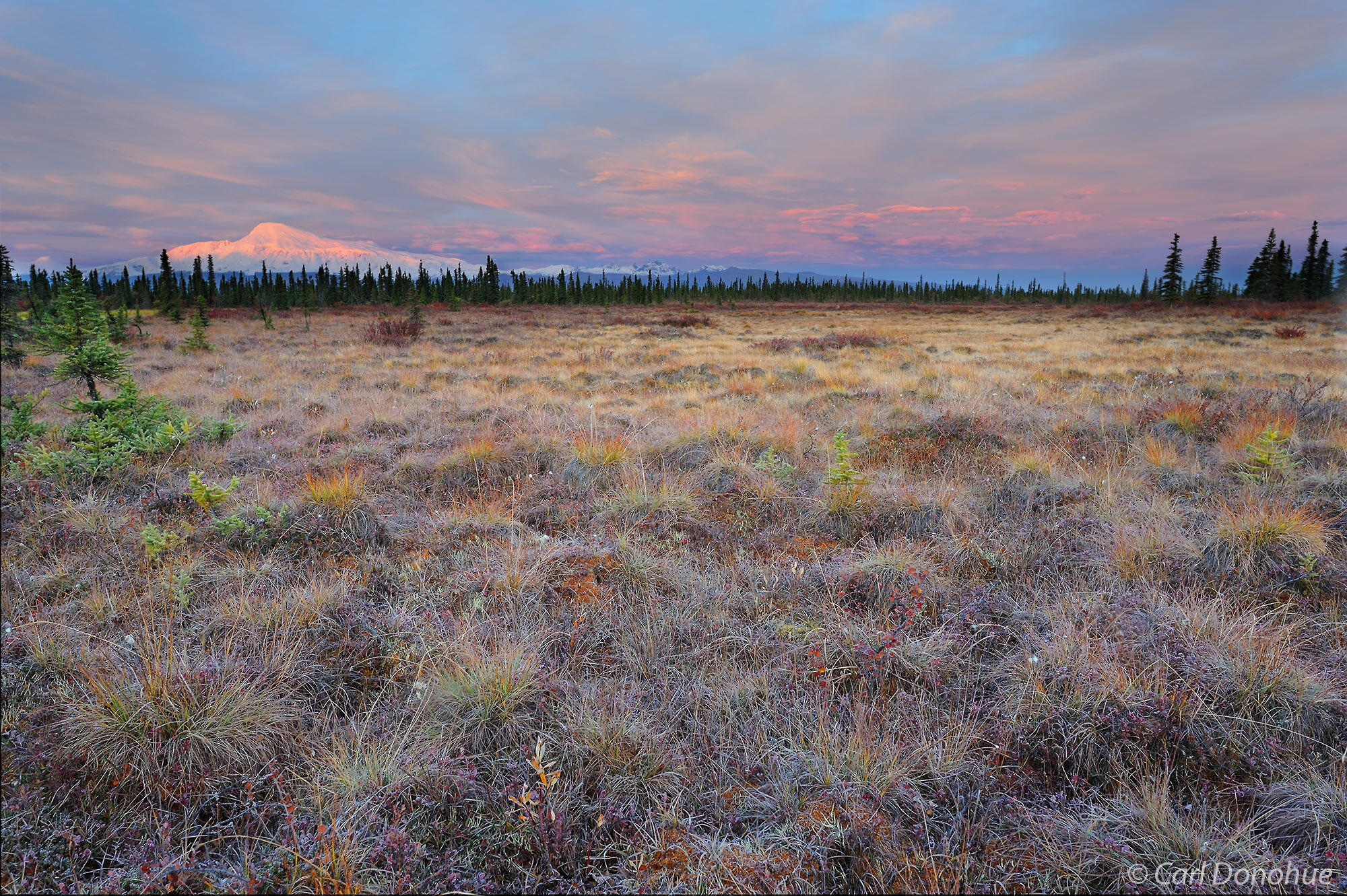 Frosted tundra in fall color, and sunrise over Mount Sanford, Wrangell-St. Elias National Park and Preserve, Alaska.