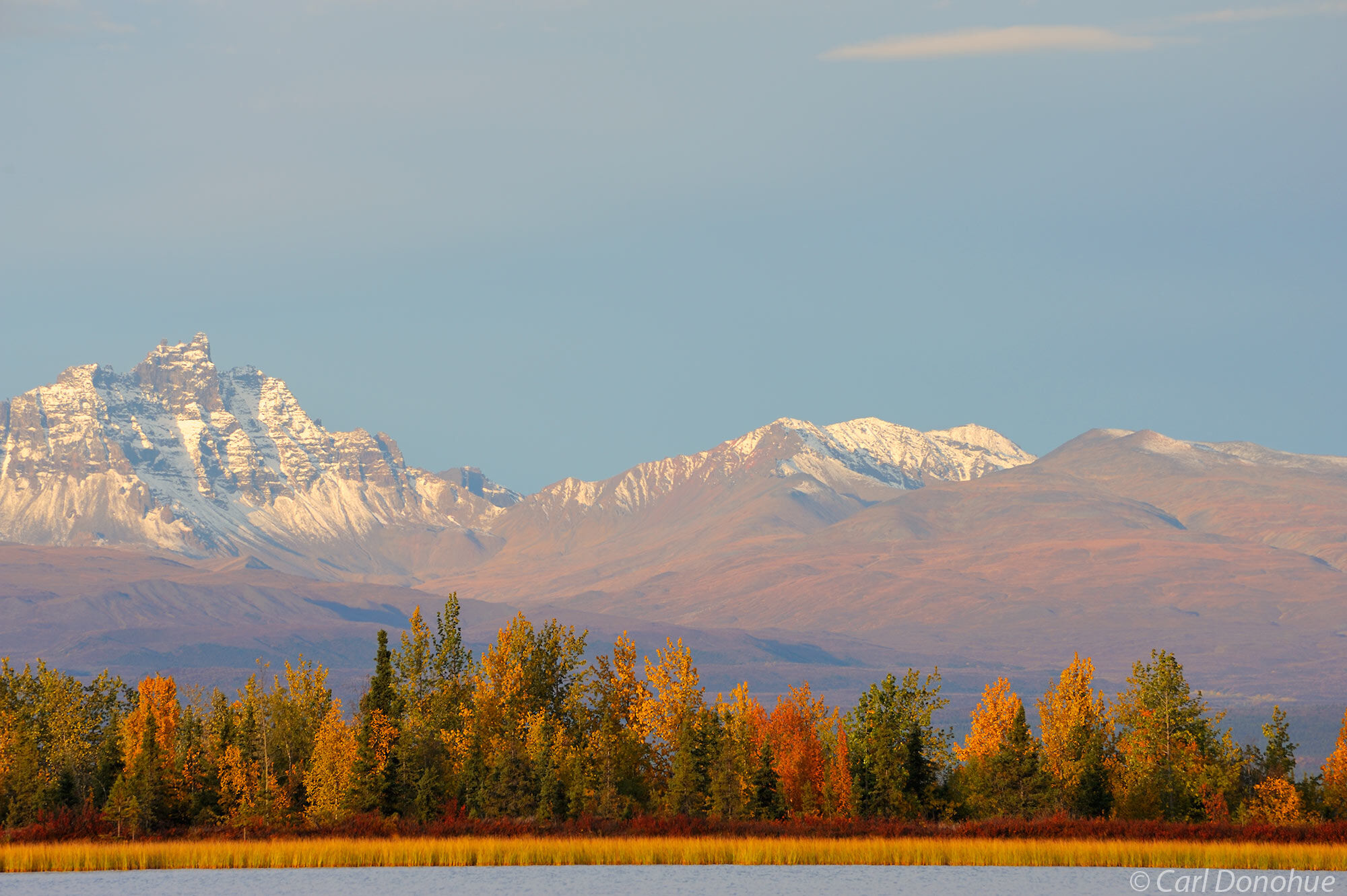 Capital Mountain, fall colors, early morning light, Wrangell - St. Elias National Park and Preserve, Alaska.