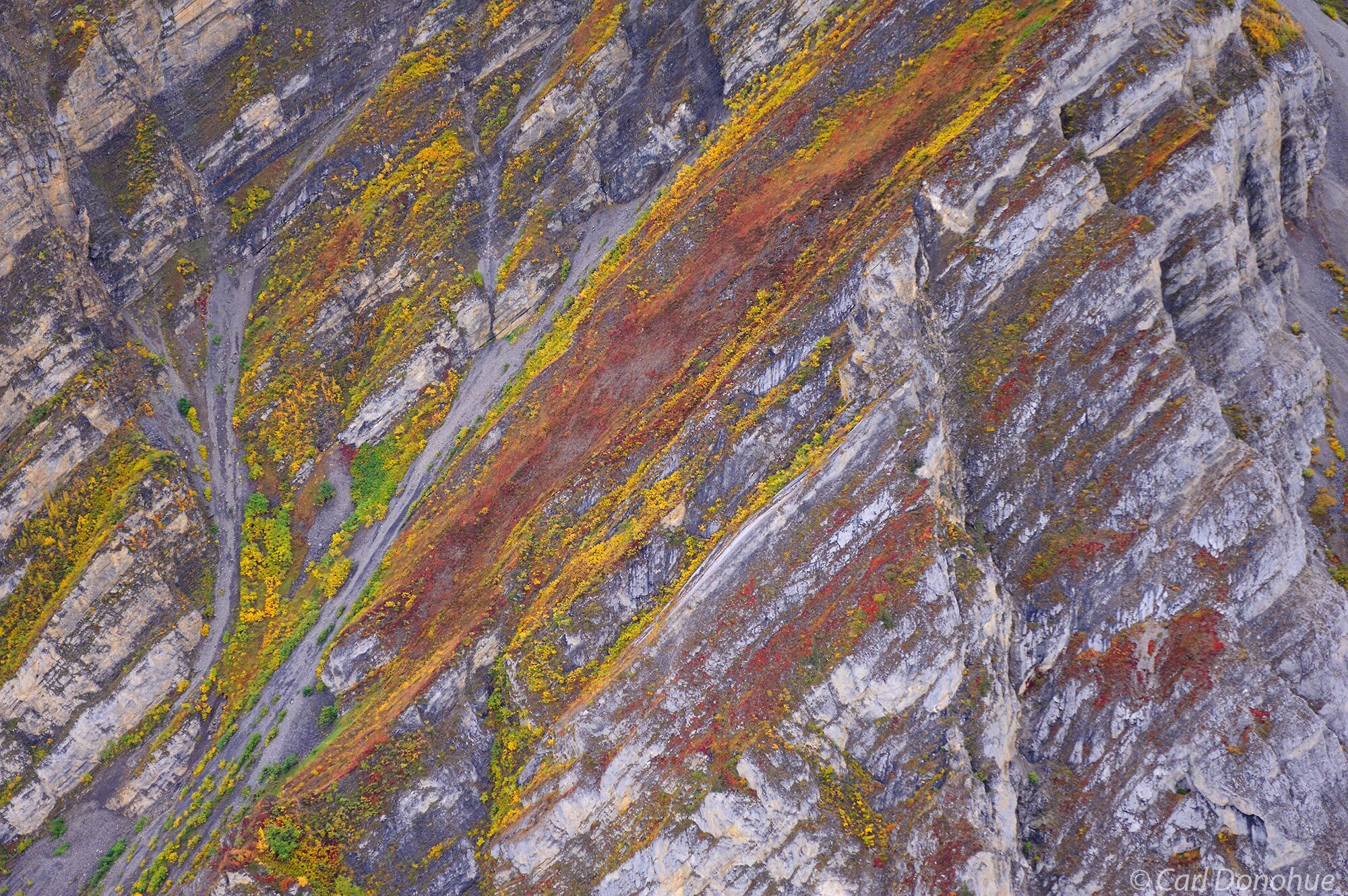 Wrangell Mountains, fall colors, sedimentation rock layers ad striations, aerial photo, Wrangell-St. Elias National Park and...