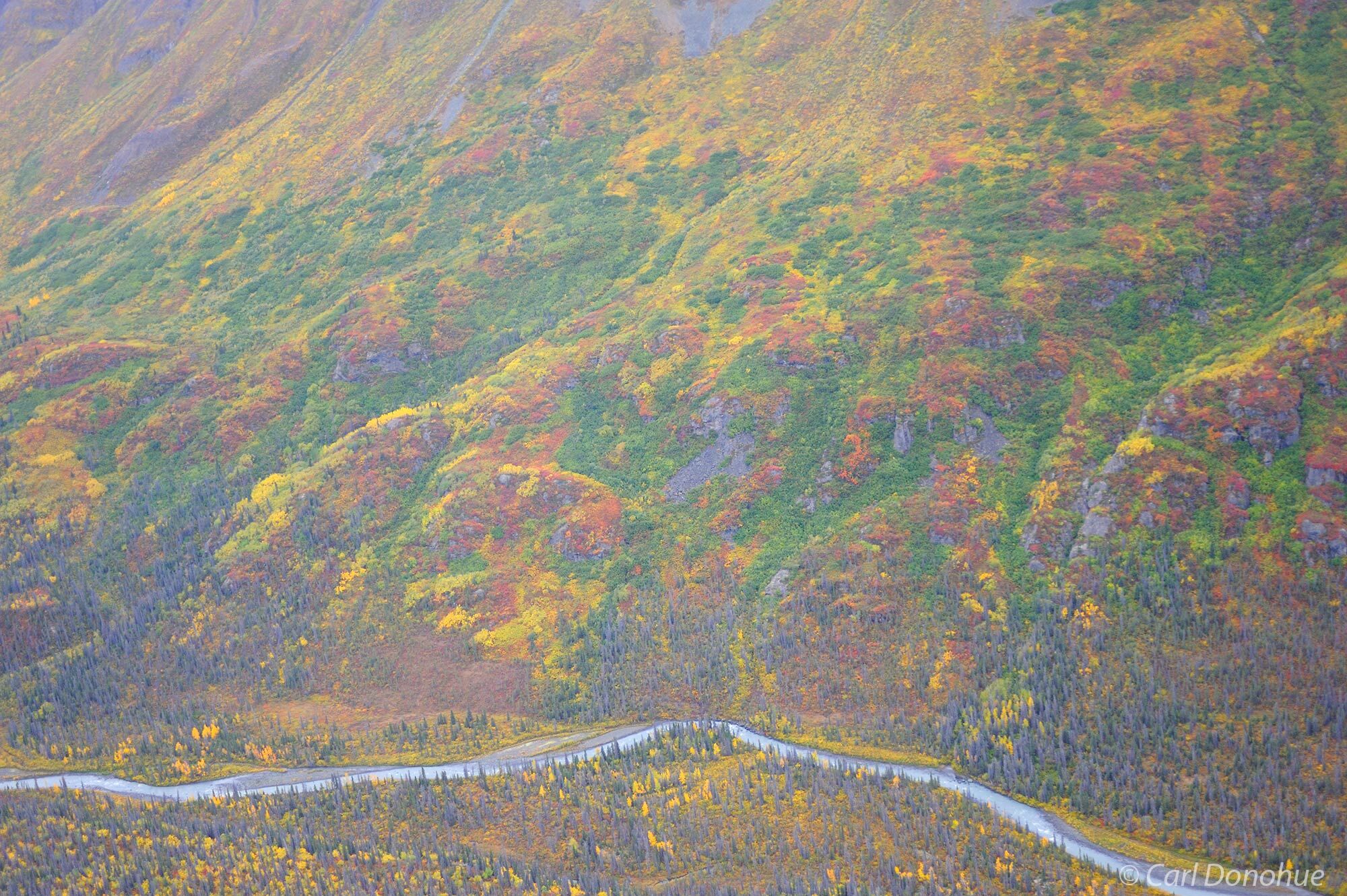 Fall colors in the eastern Chugach Mountains near Tana River, Wrangell-St. Elias National Park and Preserve, Alaska.