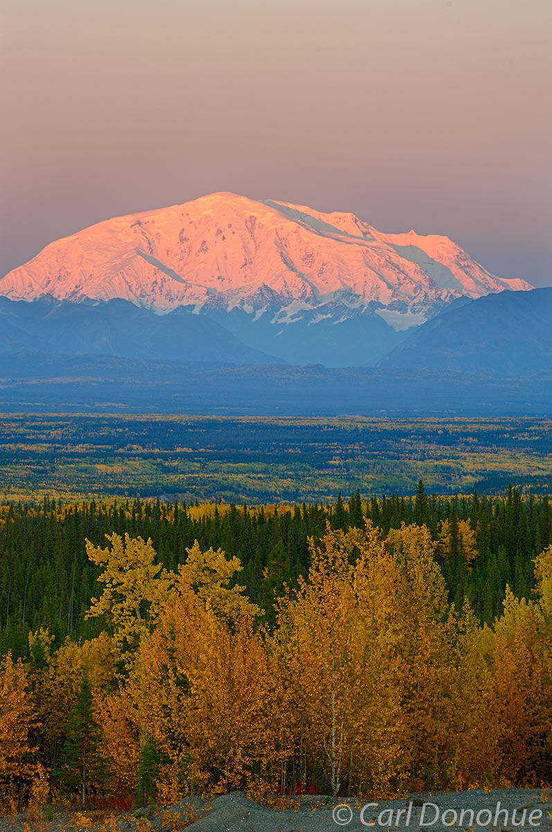 Mount Blackburn and gorgeous fall colors from the Copper River Basin. View of Wrangell-St. Elias National Park and Preserve...