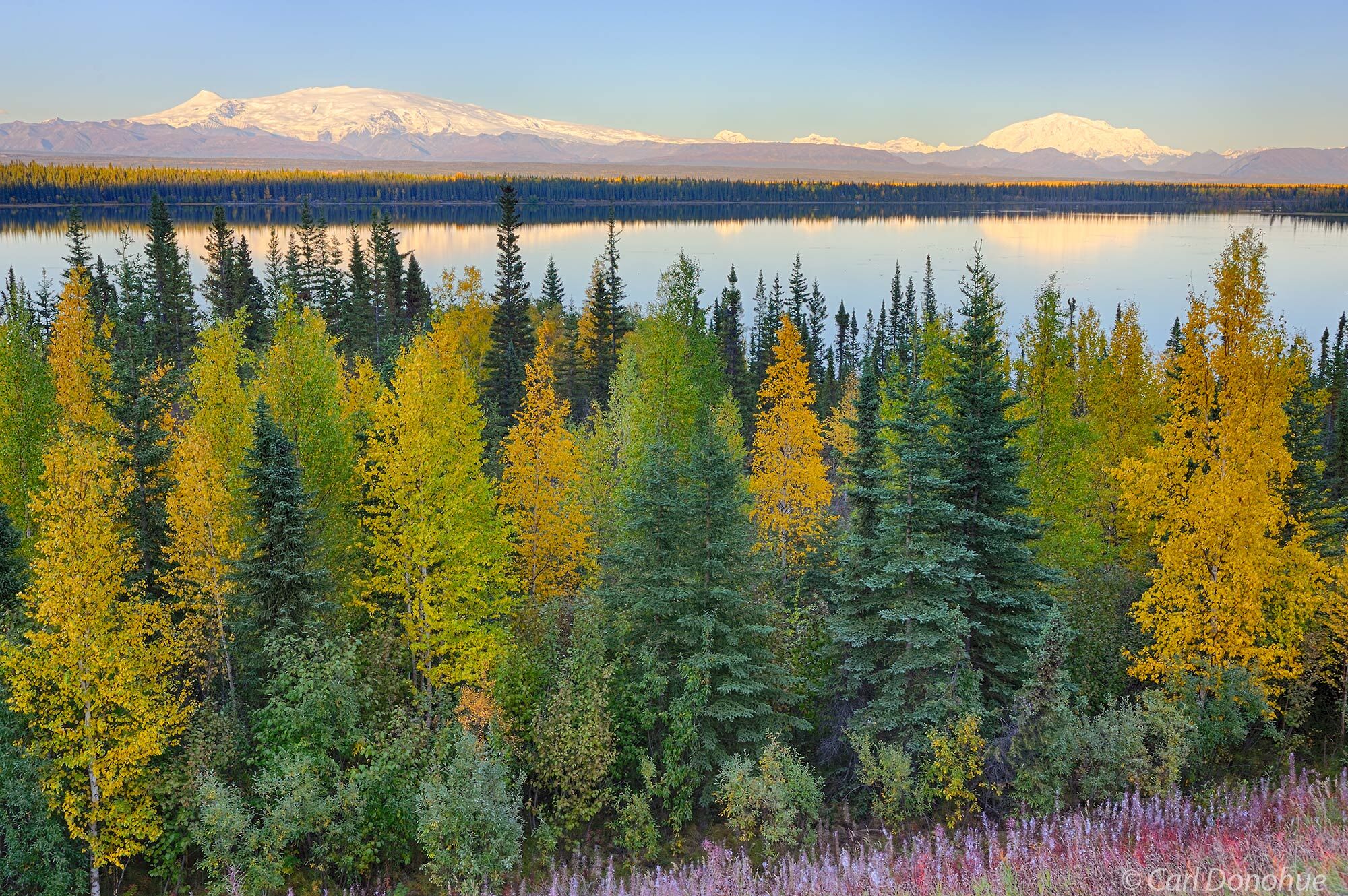 Wrangell Mountains from the Richardson Highway, fall colors, Wrangell - St. Elias National Park and Preserve, Alaska.