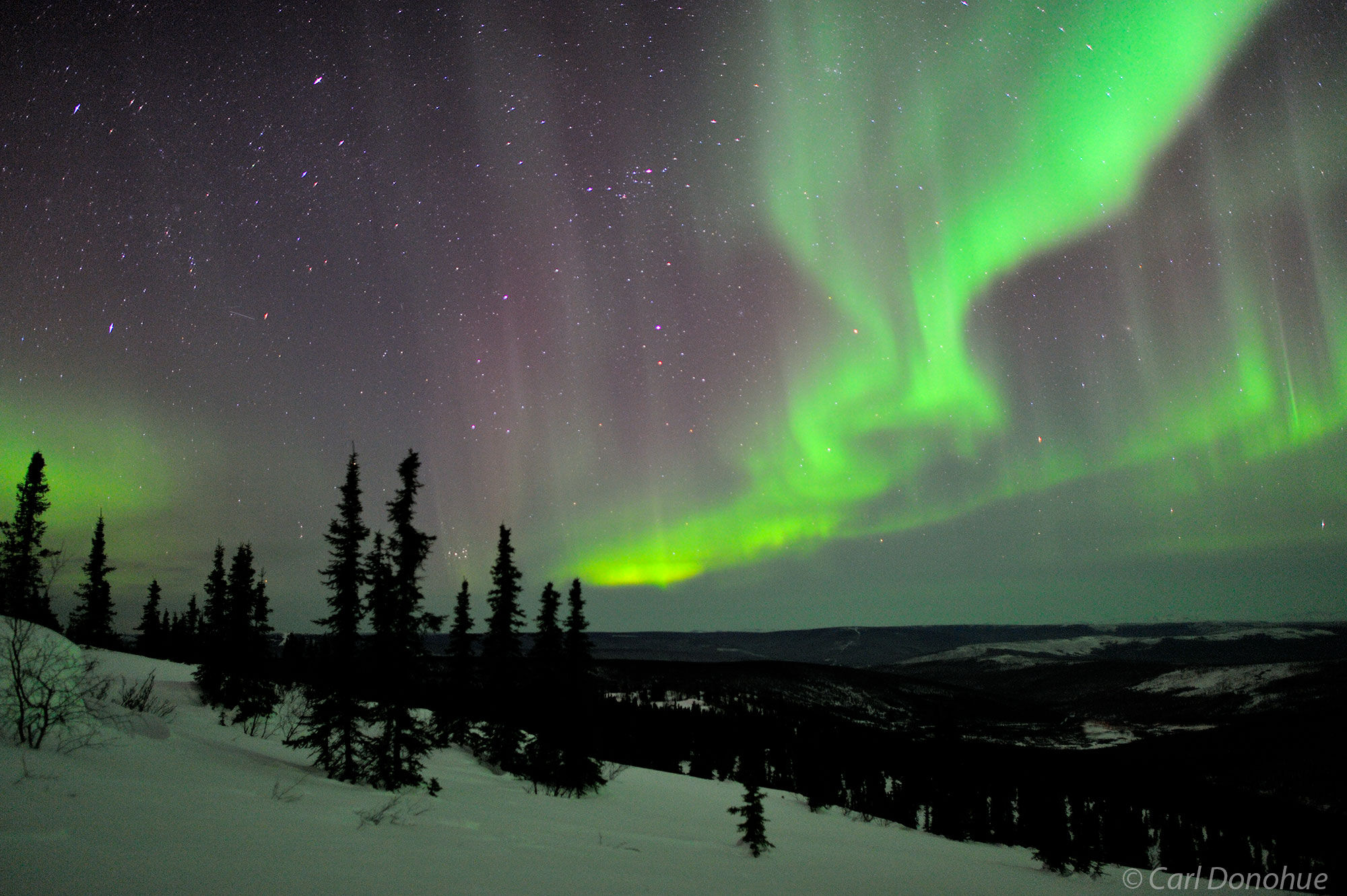 A very active and bright northern lights display north of Fairbanks, from Cleary Summit. Aurora borealis photo, or northern lights...