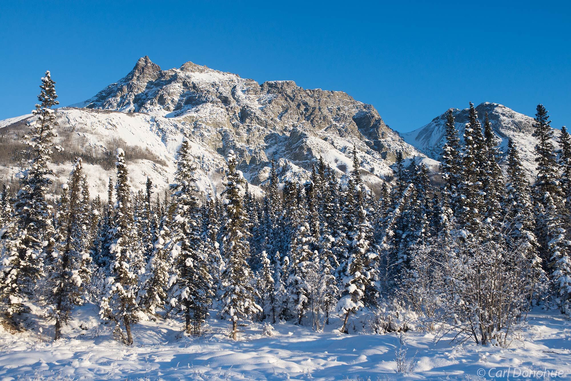 Winter in the Wrangell Mountains; the Crystalline Hills off the McCarthy Road, Wrangell-St. Elias National Park and Preserve.