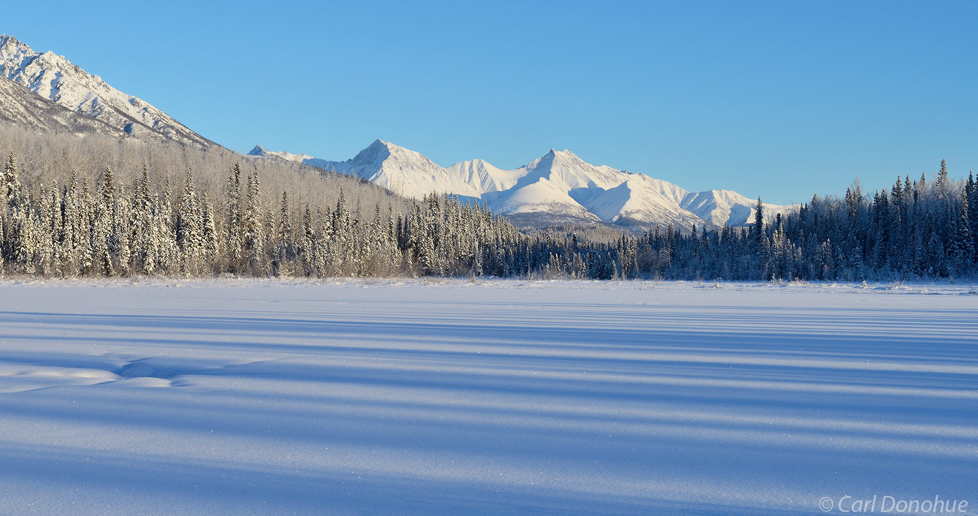 Snow covered lake in the middle of winter, on a cold sunny day, boreal forest, Wrangell-St. Elias  National Park and Preserve...