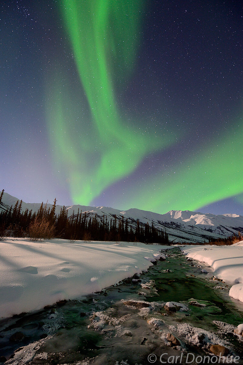 A stock photo of the northern lights rising over a small creek, with the Brooks Range mountains in the background, part of Gates...