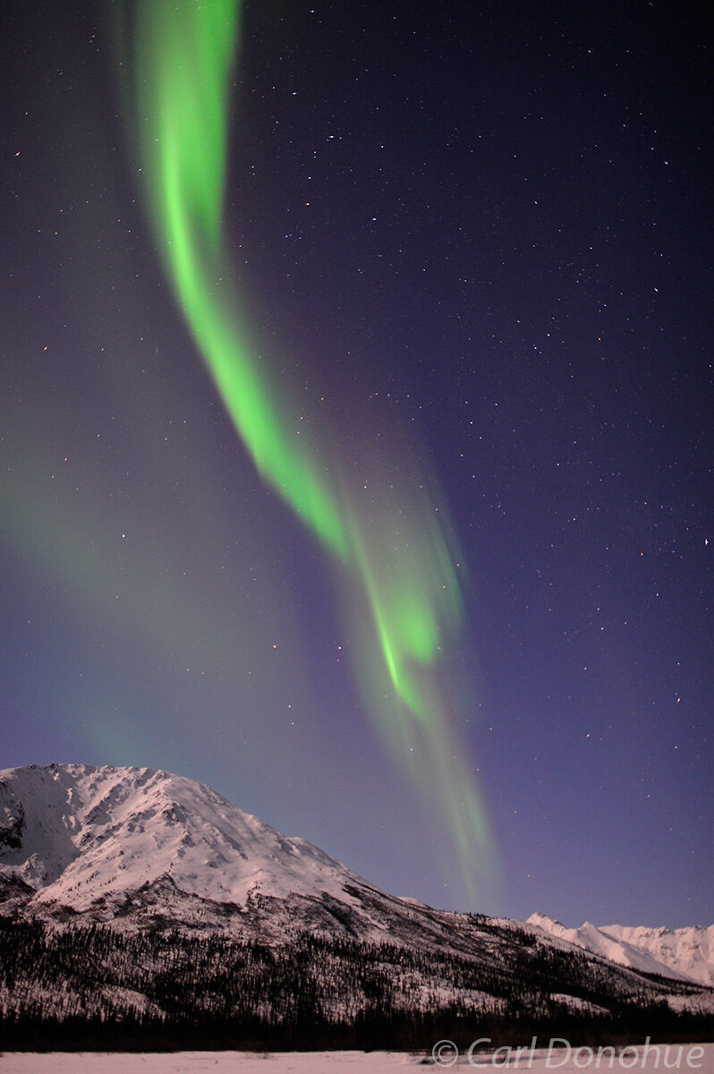 A stock photo of the northern lights over the Brooks Range mountains in the background, part of Gates of the Arctic National...