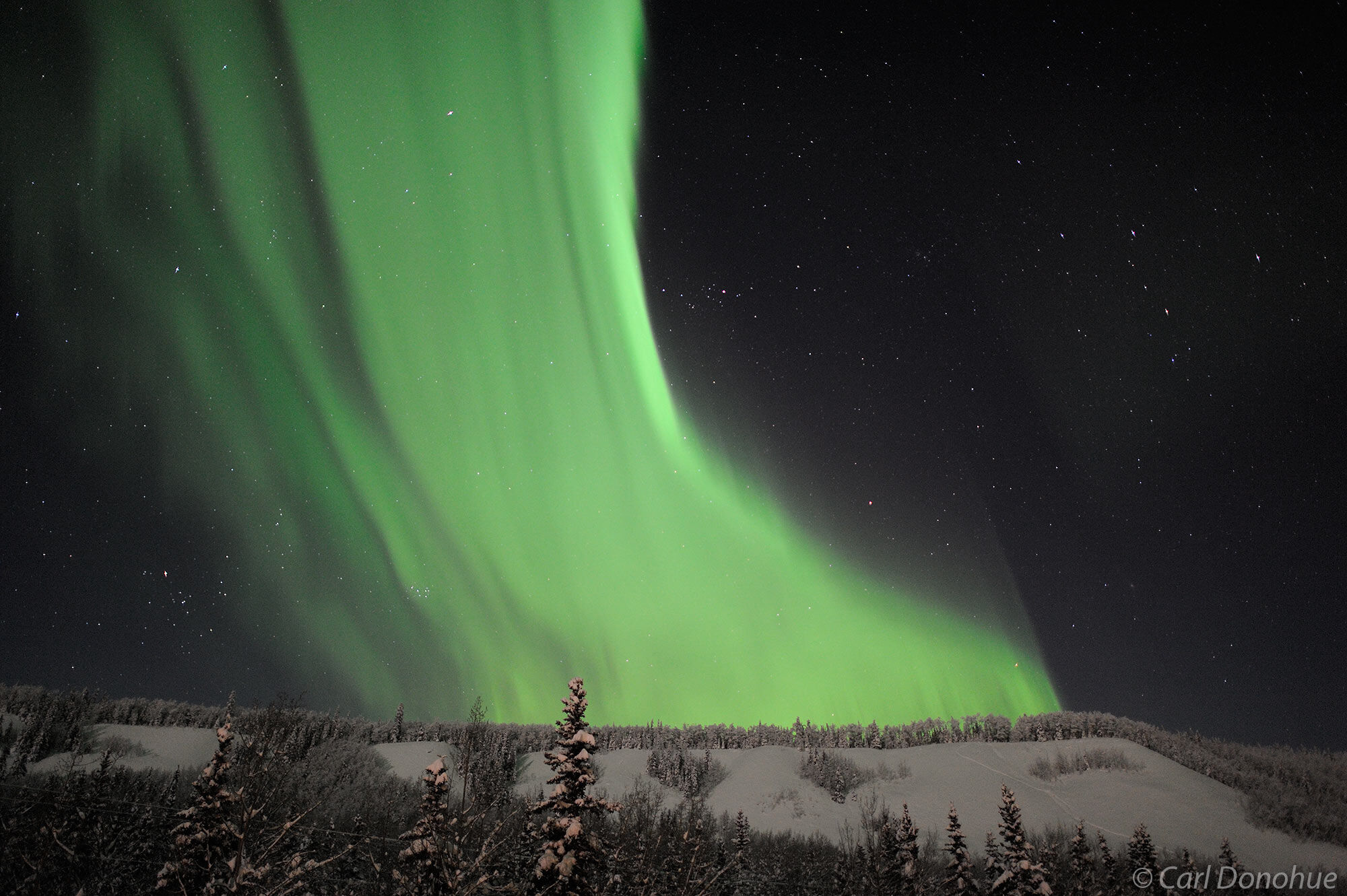 Aurora borealis over the boreal forest of Wrangell - St. Elias  National Park and Preserve, Alaska.