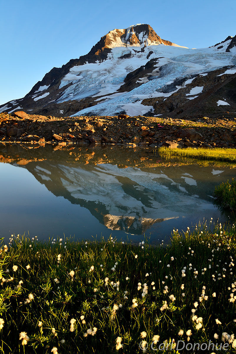 Alaska cotton grass blooms in abundance near this small alpine lake, or tarn, in the Chugach mountains. Glacial moraine dams...