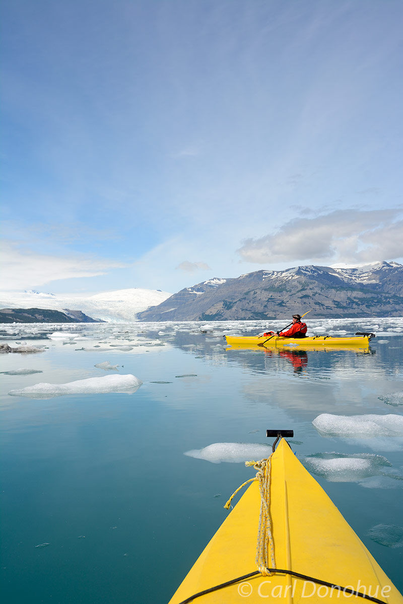 Sea Kayaking Icy Bay, Wrangell - St. Elias  National Park and Preserve, Alaska.