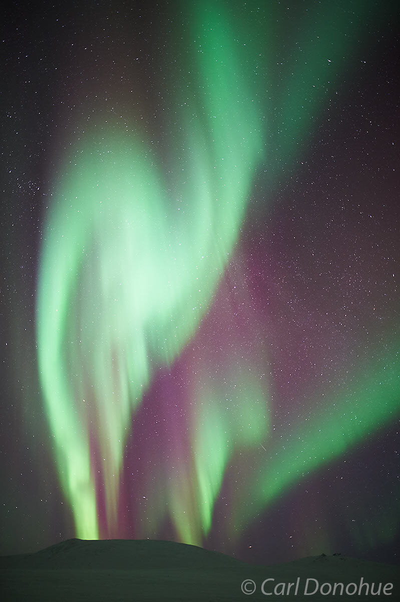 Northern lights, or aurora borealis photo above the White Mountains of sub-arctic, Alaska.