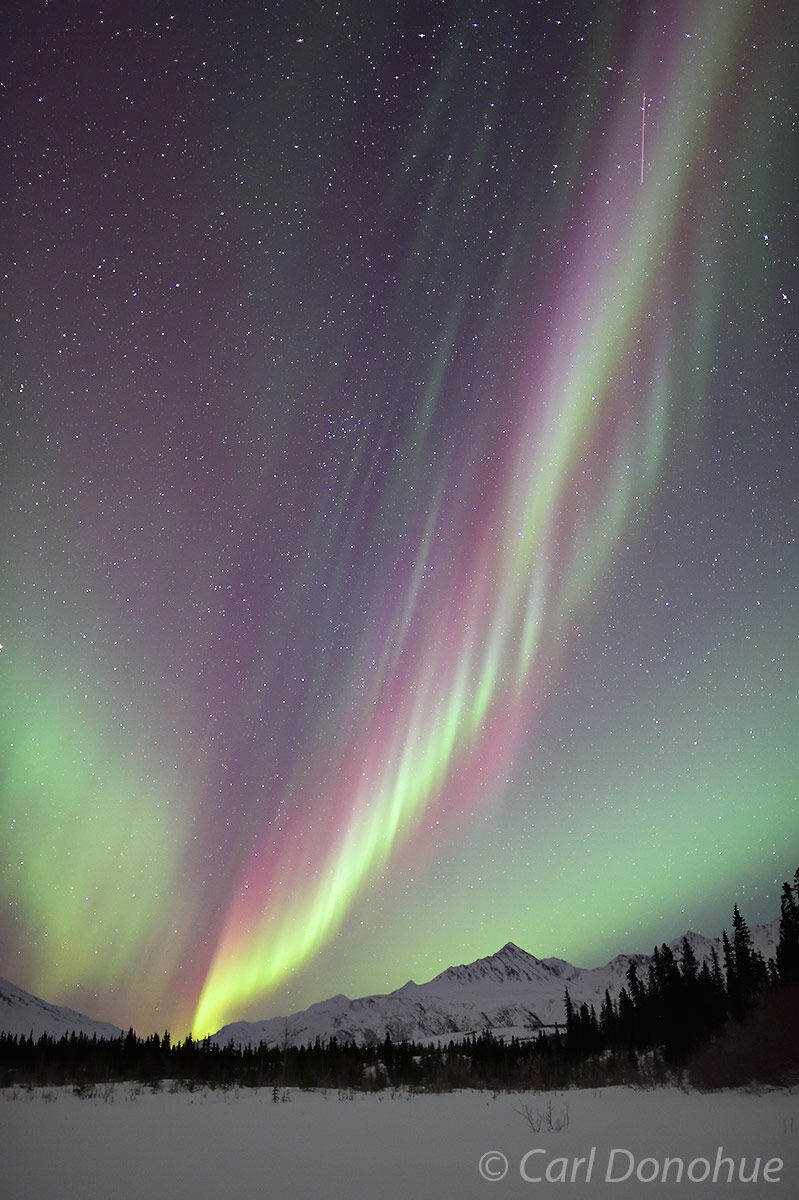The northern lights, or aurora borealis, light up the winter night sky in interior Alaska.