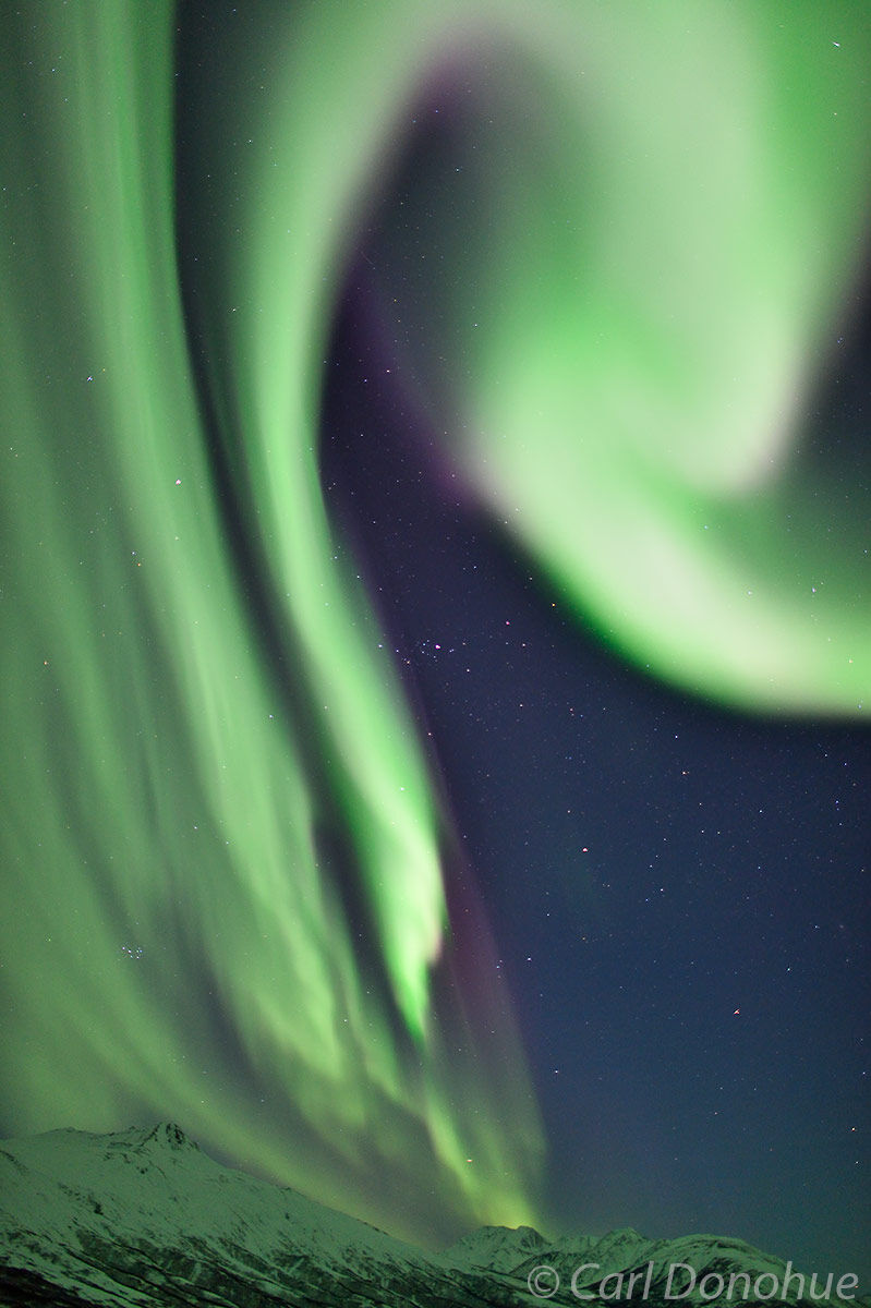 The aurora borealis and the Alaska Range in central interior Alaska. THe snow-covered Alaska Range are a dramatic foreground...